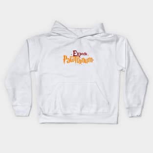 Expecto Pawtronum Kids Hoodie